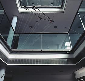 Ricarda Mieth - Drachen