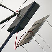 Ricarda Mieth - Drachen