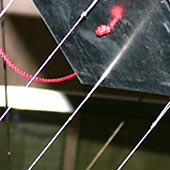 Ricarda Mieth - Drachen