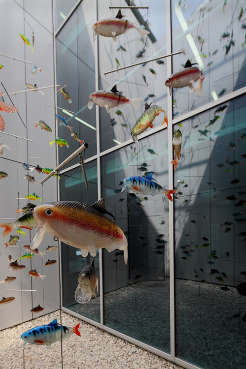 Ricarda Mieth - kleine Fische