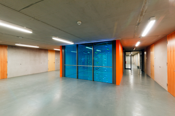 Ricarda Mieth - kleine Fische