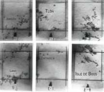 Ricarda Mieth - muster(N)